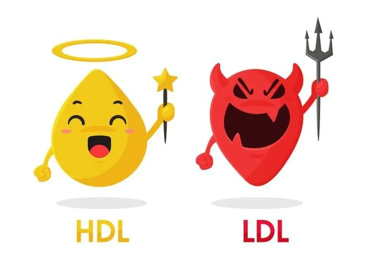 An animation of HDL