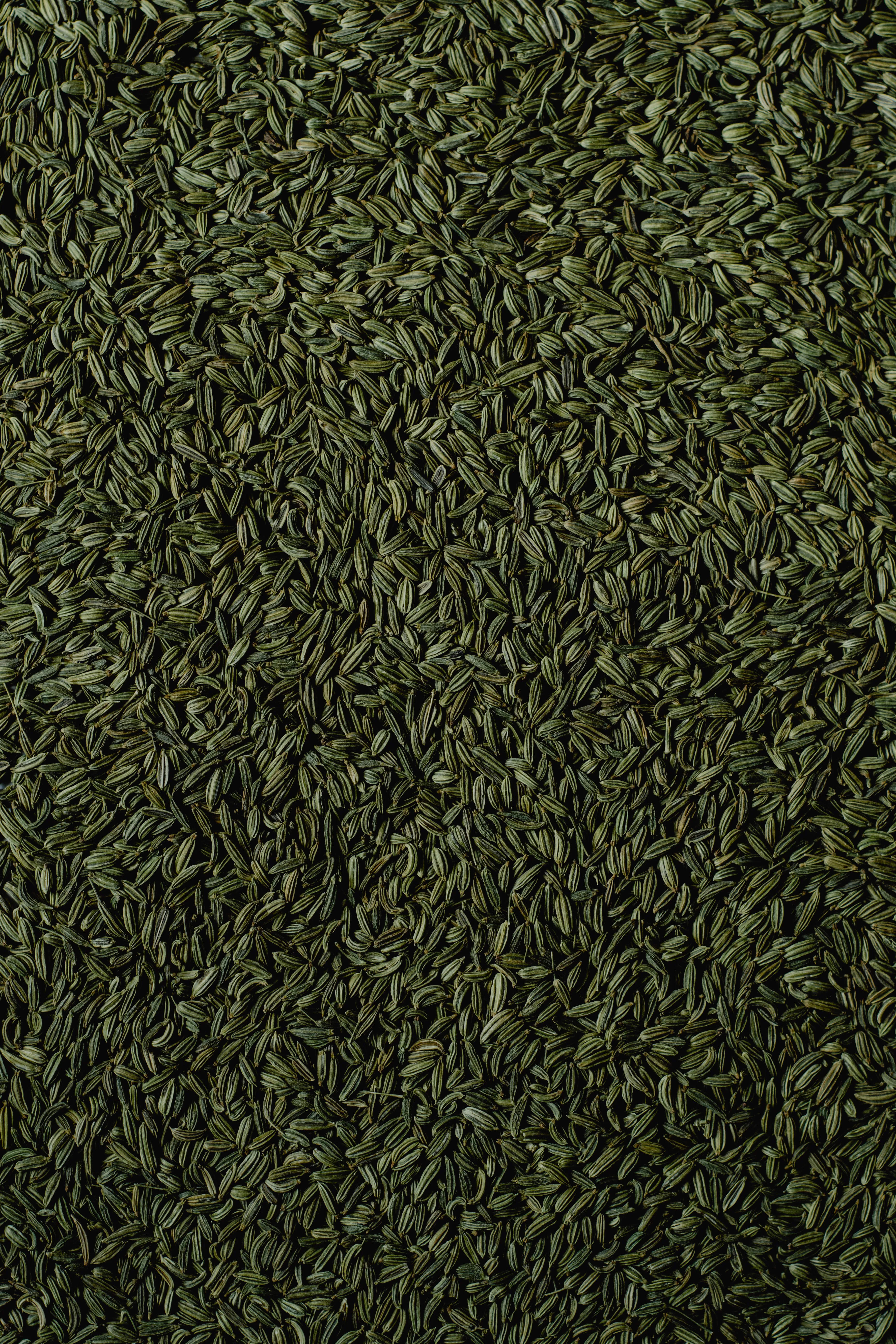 Fennel seeds on a table