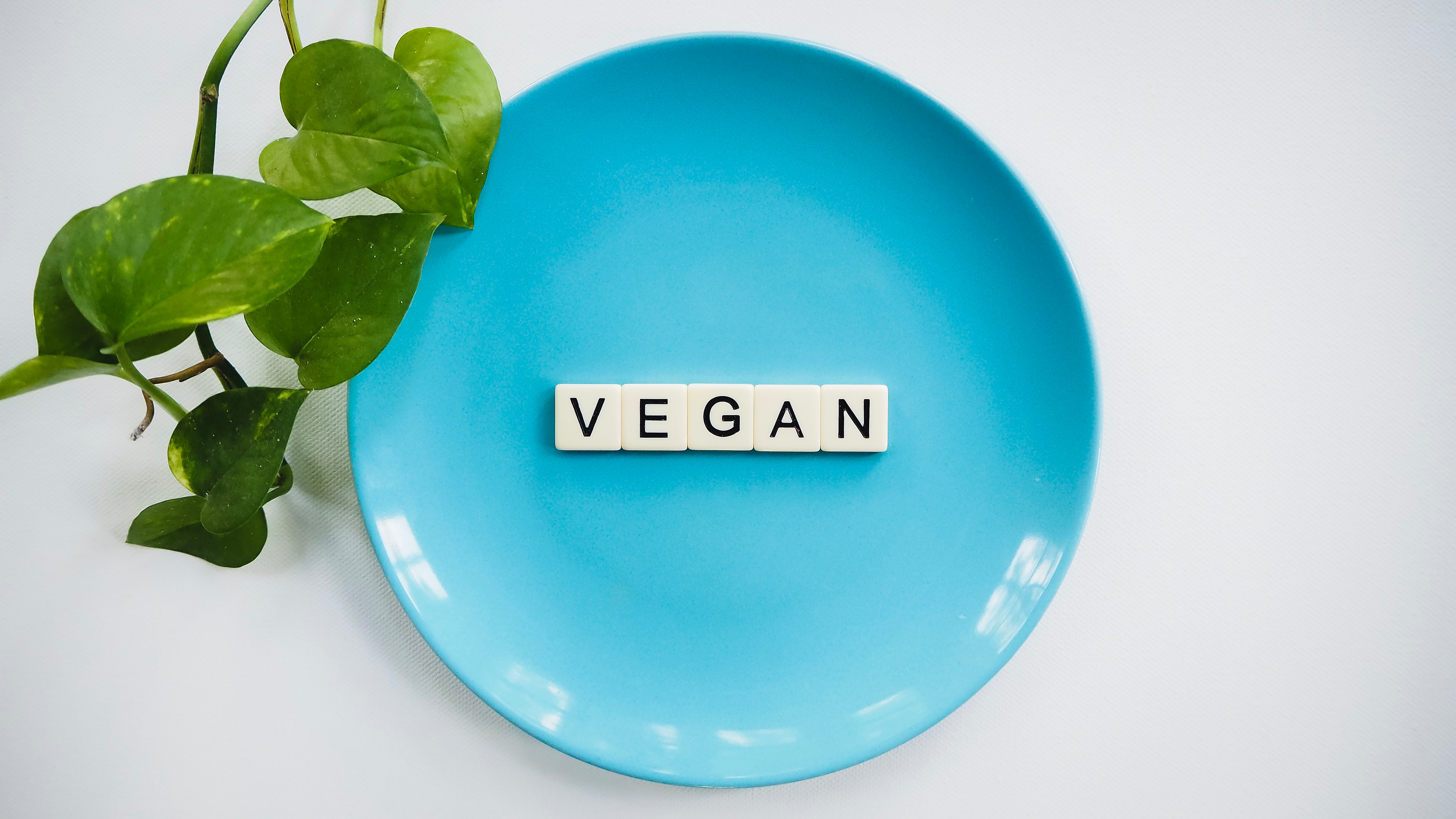 a blue plate with vegan written in between