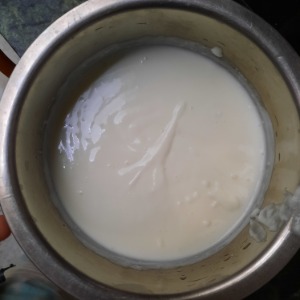 curd in a container